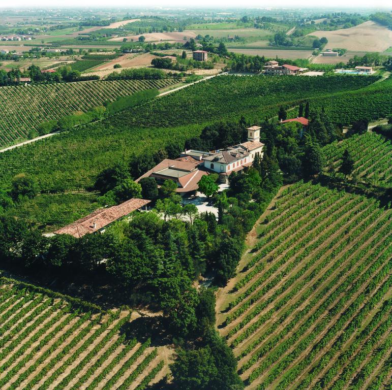 Fattoria Paradiso Bertinoro Exteriér fotografie